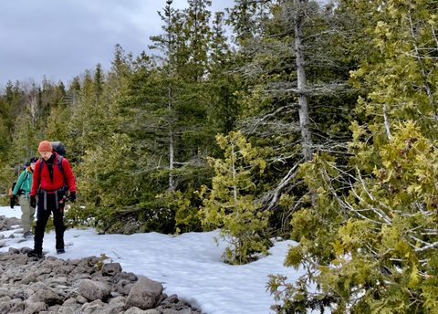 Photo from Snowshoeing Bruce National Park