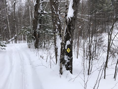Photo from Queen Elizabeth II Wildlands - 2022 Pulk Pull