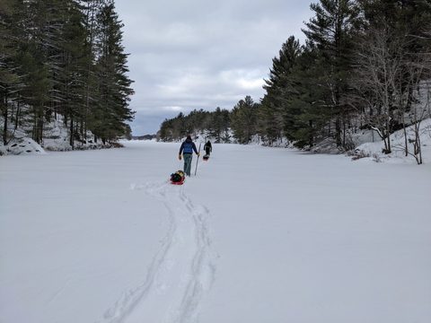 Photo from Queen Elizabeth II Wildlands - 2022 Pulk Pull