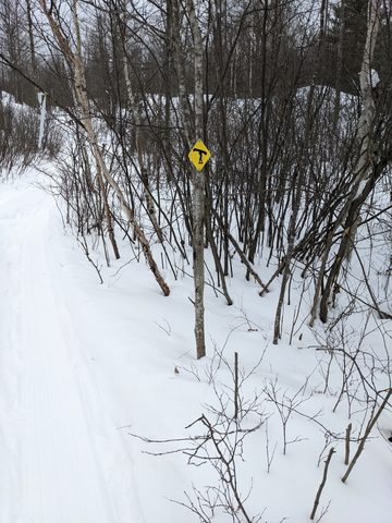 Photo from Queen Elizabeth II Wildlands - 2022 Pulk Pull