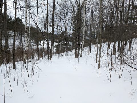 Photo from Queen Elizabeth II Wildlands - 2022 Pulk Pull