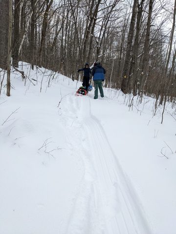 Photo from Queen Elizabeth II Wildlands - 2022 Pulk Pull