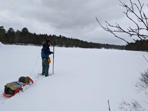 Photo from Queen Elizabeth II Wildlands - 2022 Pulk Pull