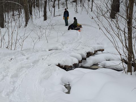 Photo from Queen Elizabeth II Wildlands - 2022 Pulk Pull