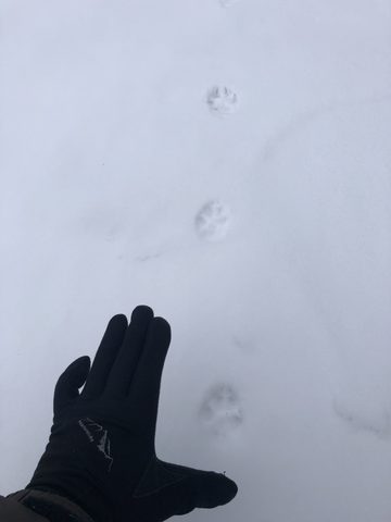 Photo from Beginners Winter Backpacking Course