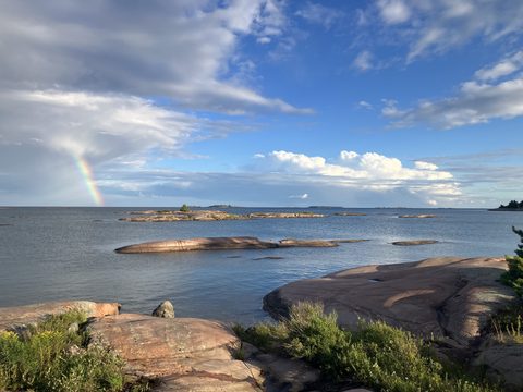 the day after the storm