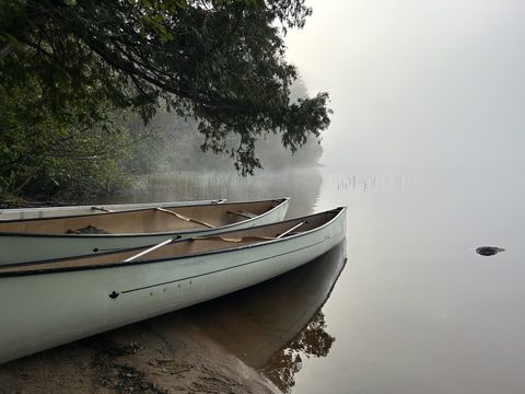 Photo from Backcountry Algonquin Canoe Trip