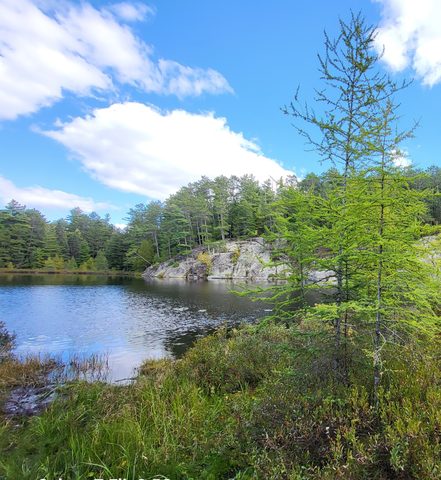 Photo from Backcountry Algonquin Canoe Trip