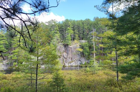 Photo from Backcountry Algonquin Canoe Trip