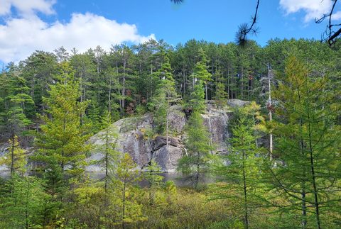 Photo from Backcountry Algonquin Canoe Trip