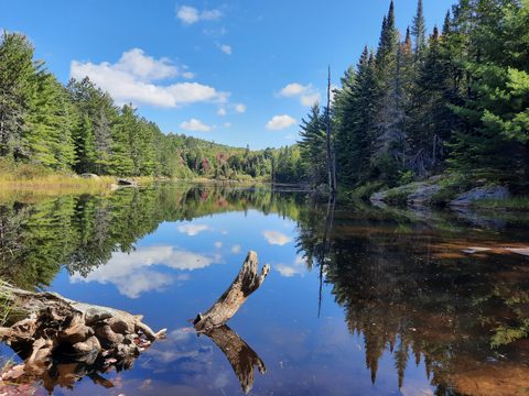 Photo from Backcountry Algonquin Canoe Trip