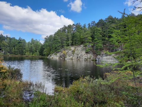 Photo from Backcountry Algonquin Canoe Trip