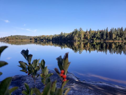 Photo from Backcountry Algonquin Canoe Trip