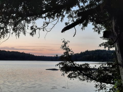 Photo from Backcountry Algonquin Canoe Trip