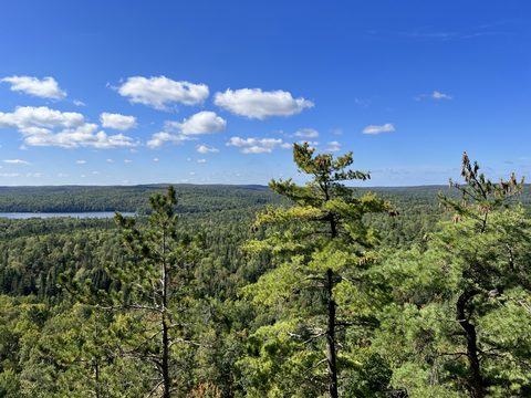 Photo from Backcountry Algonquin Canoe Trip