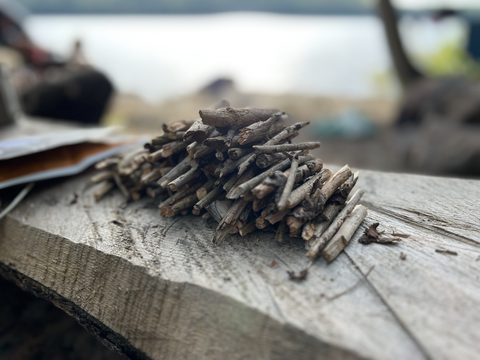 Photo from Backcountry Algonquin Canoe Trip