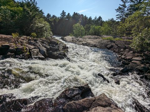 Photo from Canoe Trip in Magnetawan Provincial Park