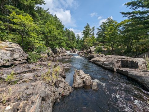 Photo from Canoe Trip in Magnetawan Provincial Park