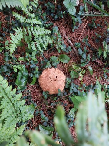 Photo from Canoe Trip in Magnetawan Provincial Park