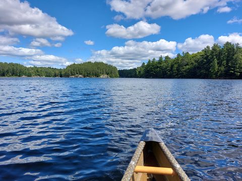 Photo from Canoe Trip in Magnetawan Provincial Park
