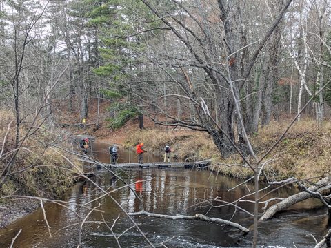 Photo from Backpacking QEW