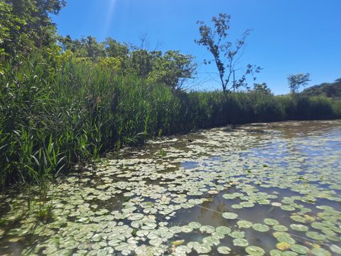 Photo from POINT PELEE BEGINNER SEA KAYAKING