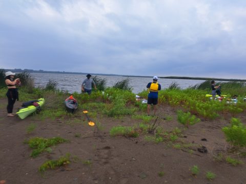 Photo from POINT PELEE BEGINNER SEA KAYAKING