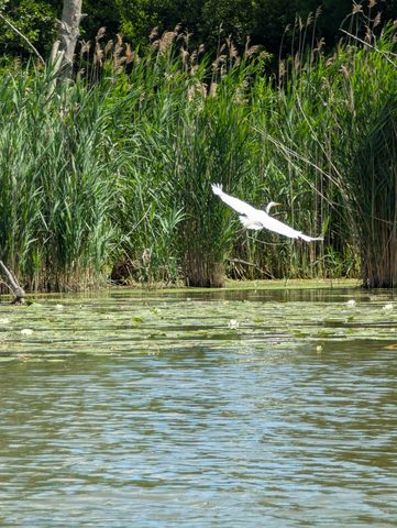 Photo from POINT PELEE BEGINNER SEA KAYAKING