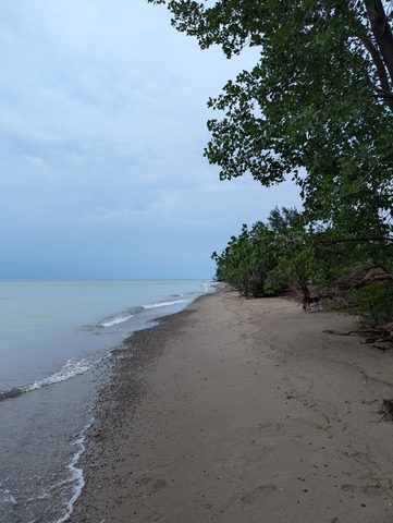 Photo from POINT PELEE BEGINNER SEA KAYAKING