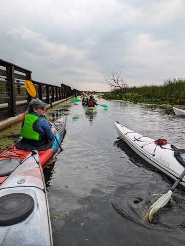 Photo from POINT PELEE BEGINNER SEA KAYAKING
