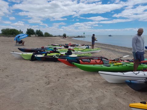 Photo from POINT PELEE BEGINNER SEA KAYAKING