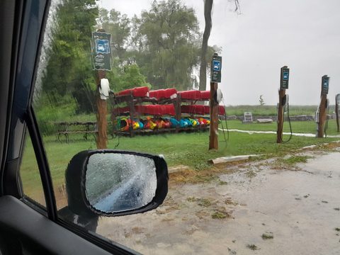 Photo from POINT PELEE BEGINNER SEA KAYAKING