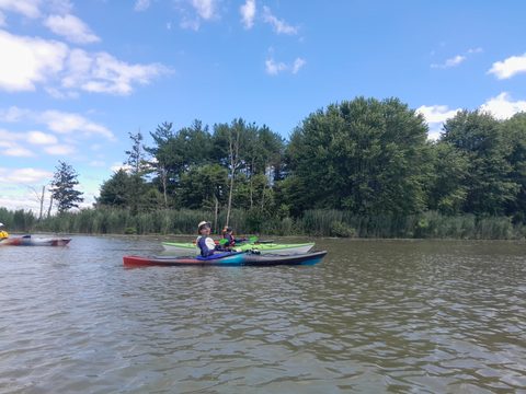Photo from POINT PELEE BEGINNER SEA KAYAKING