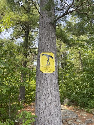 Photo from Canoe trip Barron Canyon- Algonquin east