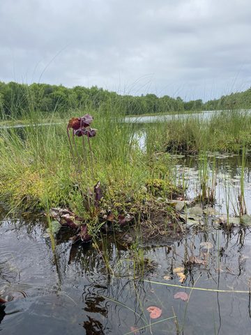 Photo from Canoe trip Rathburn lake loop -Kawartha Highlands Park
