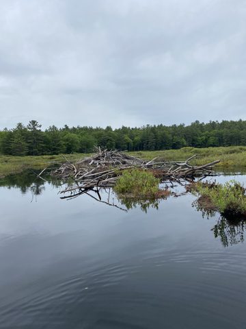 Photo from Canoe trip Rathburn lake loop -Kawartha Highlands Park