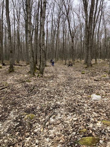 the back path from High Dump to the Halfway Log Dump parking lot