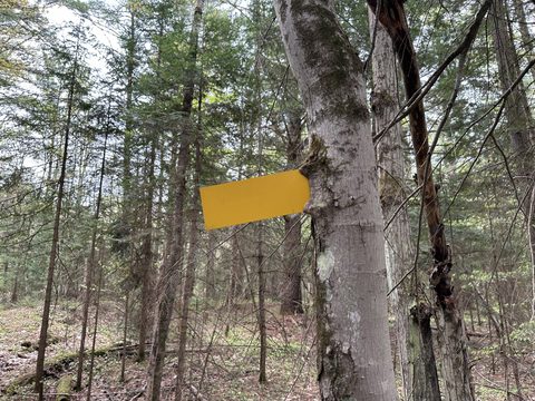 Photo from Introduction to backpacking - A first trip with Tim