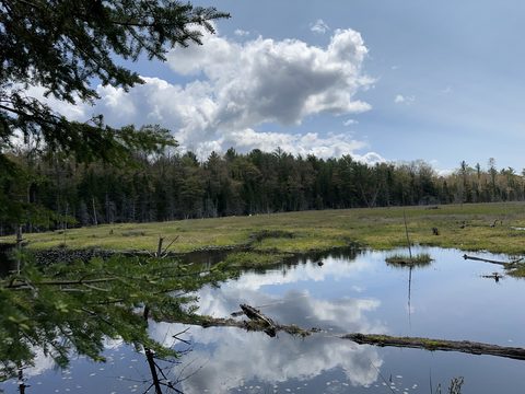 Photo from Introduction to backpacking - A first trip with Tim
