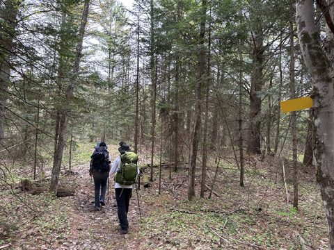Photo from Introduction to backpacking - A first trip with Tim