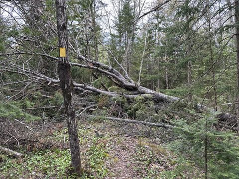 Photo from Introduction to backpacking - A first trip with Tim