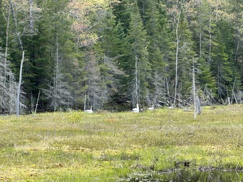 Photo from Introduction to backpacking - A first trip with Tim