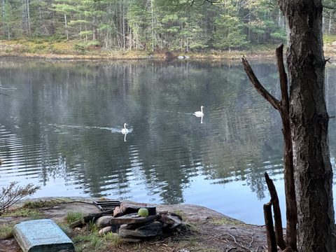 Photo from Introduction to backpacking - A first trip with Tim