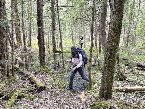 Photo from Introduction to backpacking - A first trip with Tim