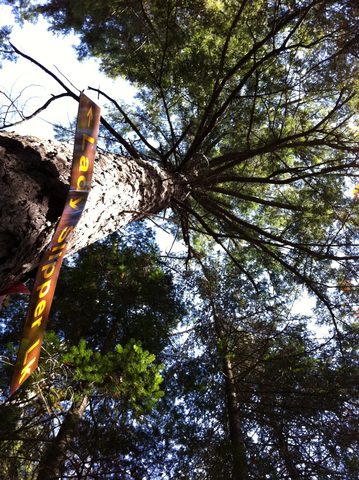 Photo from Three day trip in Algonquin Provincial Park