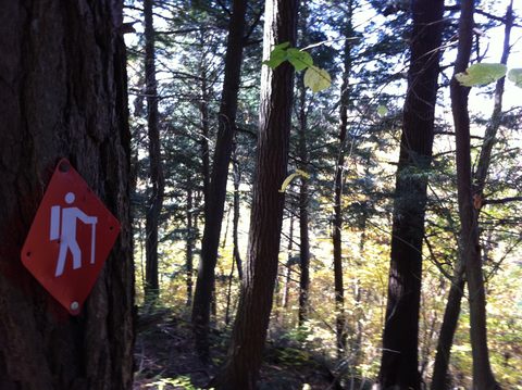 Photo from Three day trip in Algonquin Provincial Park