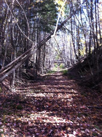 Photo from Three day trip in Algonquin Provincial Park