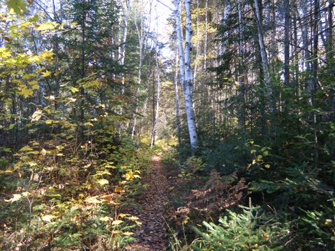 Photo from Three day trip in Algonquin Provincial Park