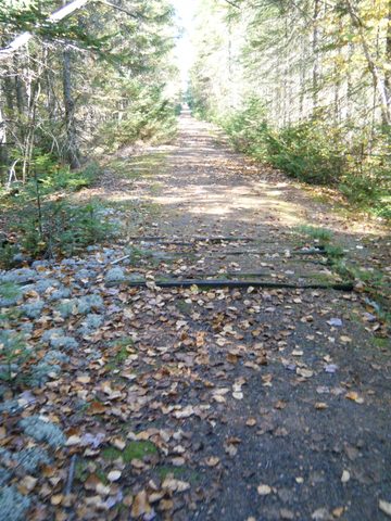 Photo from Three day trip in Algonquin Provincial Park