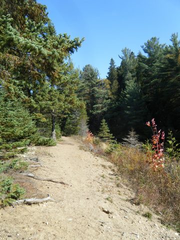 Photo from Three day trip in Algonquin Provincial Park